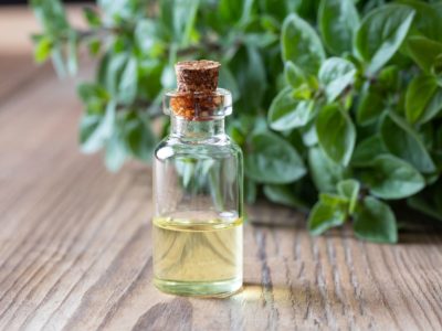 wellhealthorganic.com:health-benefits-and-side-effects-of-oil-of-oregano